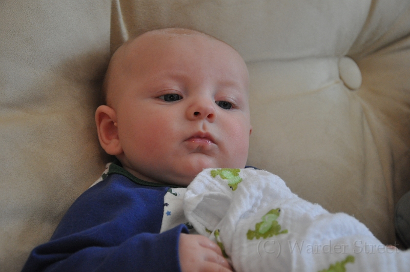 William's Fourteenth Week 08.jpg